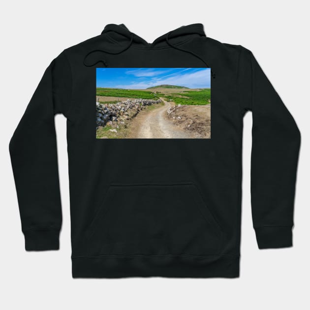 The path to Carnllundain on Ramsey Island Hoodie by yackers1